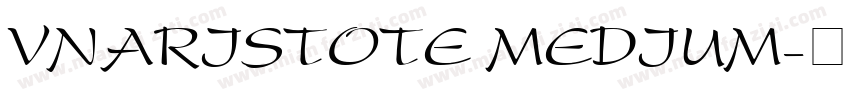 VnAristote Medium字体转换